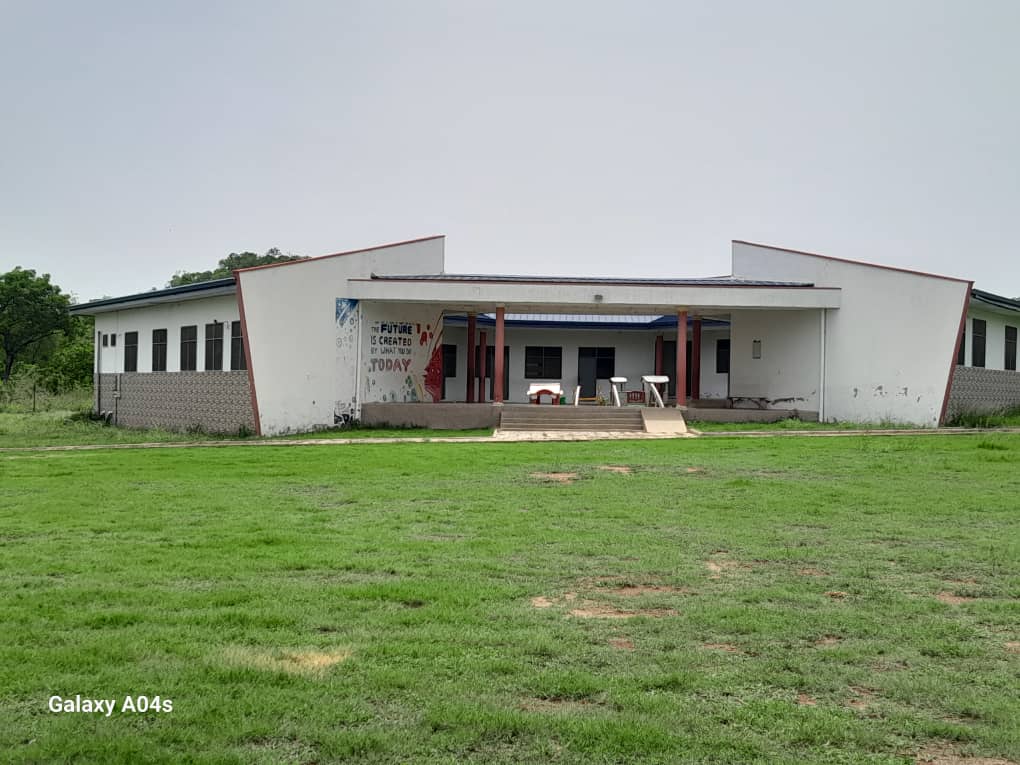 Learners at school grounds